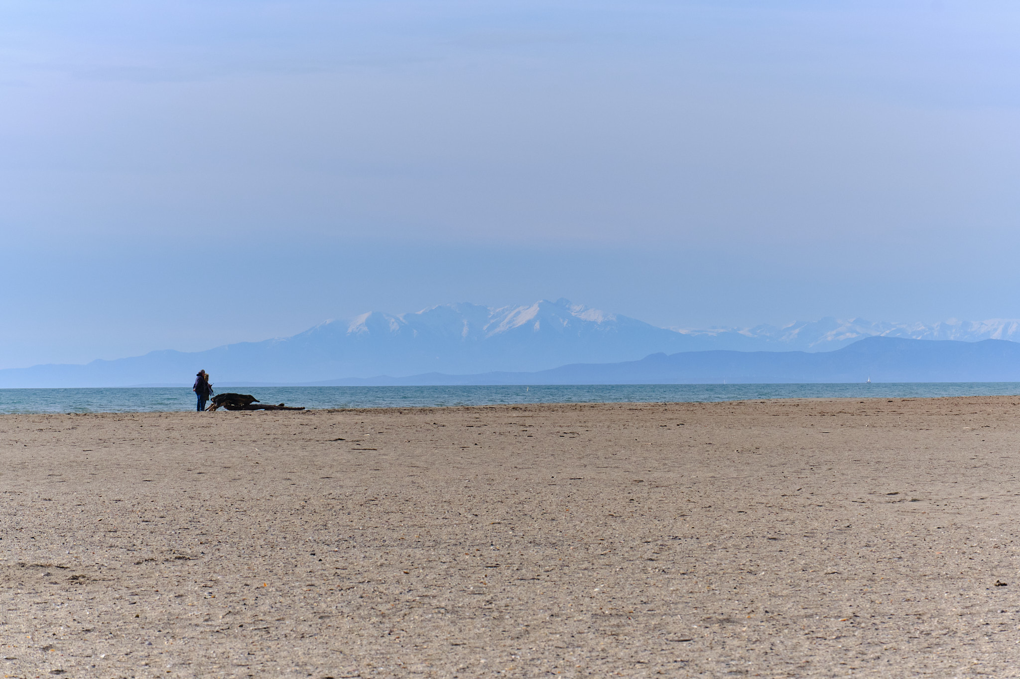 Les Orpellières - Photo 4 sur 25